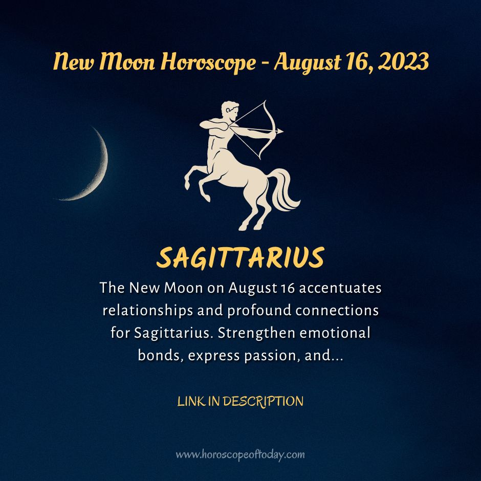 Sagittarius The New Moon In Sagittarius Workbook — ALEXIE GIGI