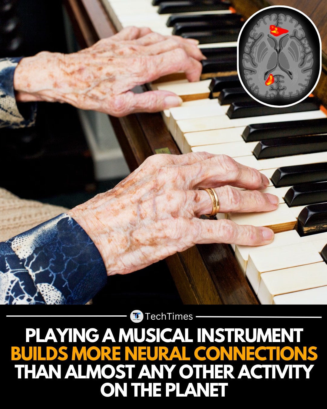 TechTimes - When you play a musical instrument, you’re not just ...