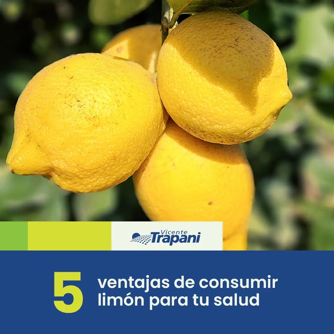 🍋El limón es un cítrico rico en... - Vicente Trapani SA