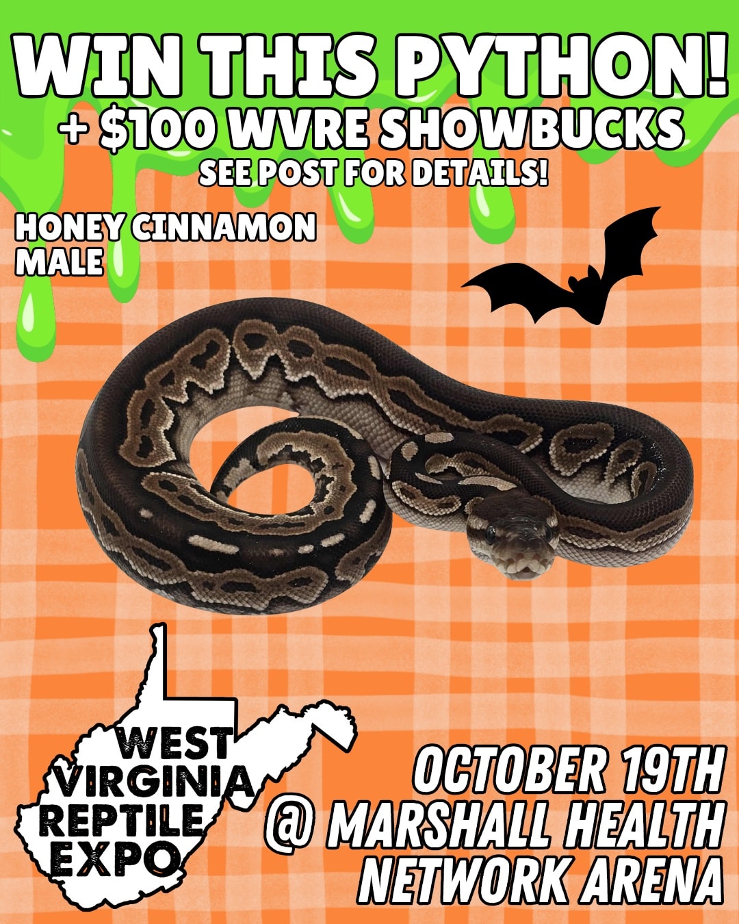 🎃 October 19th in Huntington!... - West Virginia Reptile Expo | Facebook