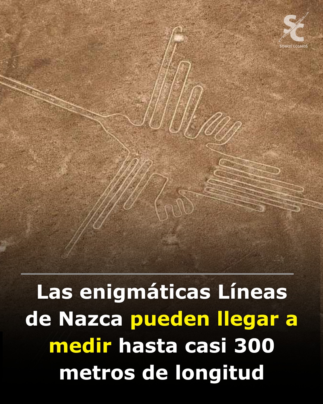 Somos - Las enigmáticas Líneas de Nazca, en el desierto del sur de Perú ...