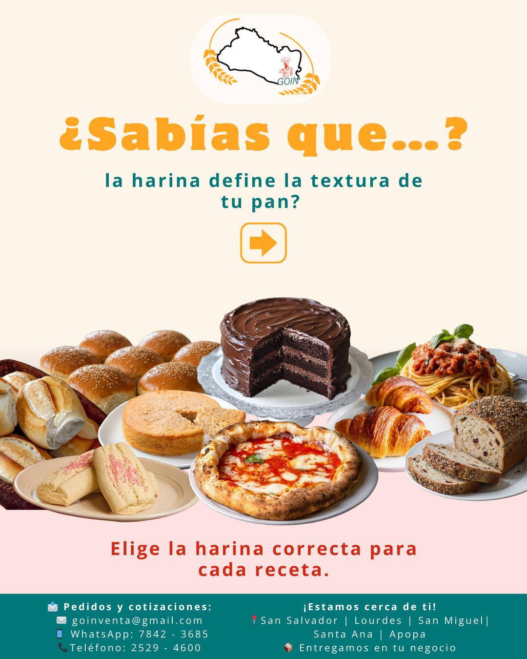Grupo - 💡 ¿Sabías que… la harina define la textura de tu pan? Elegir la ...