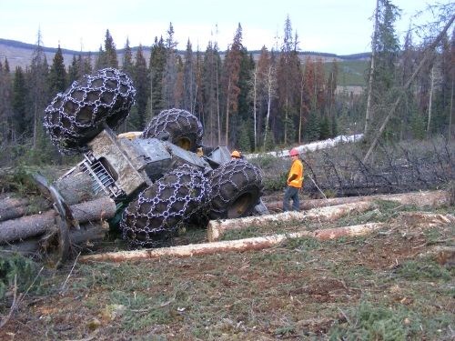 Timber & Time: The History of Logging | Facebook