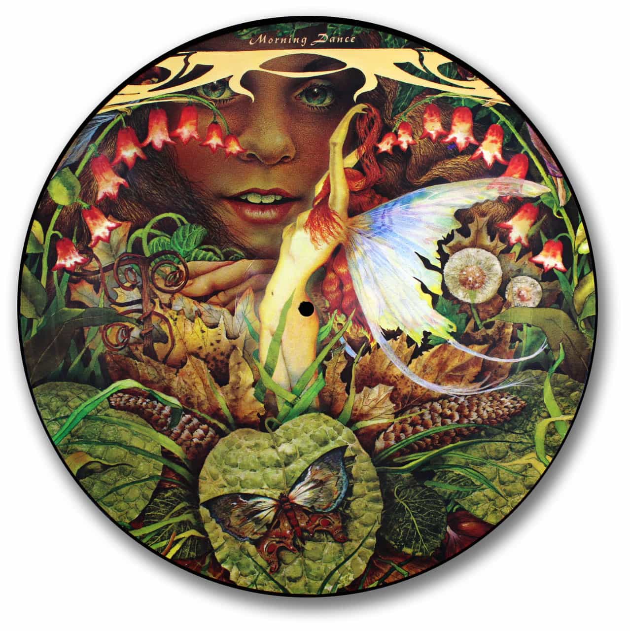 Spyro Gyra's 1979 album Morning Dance