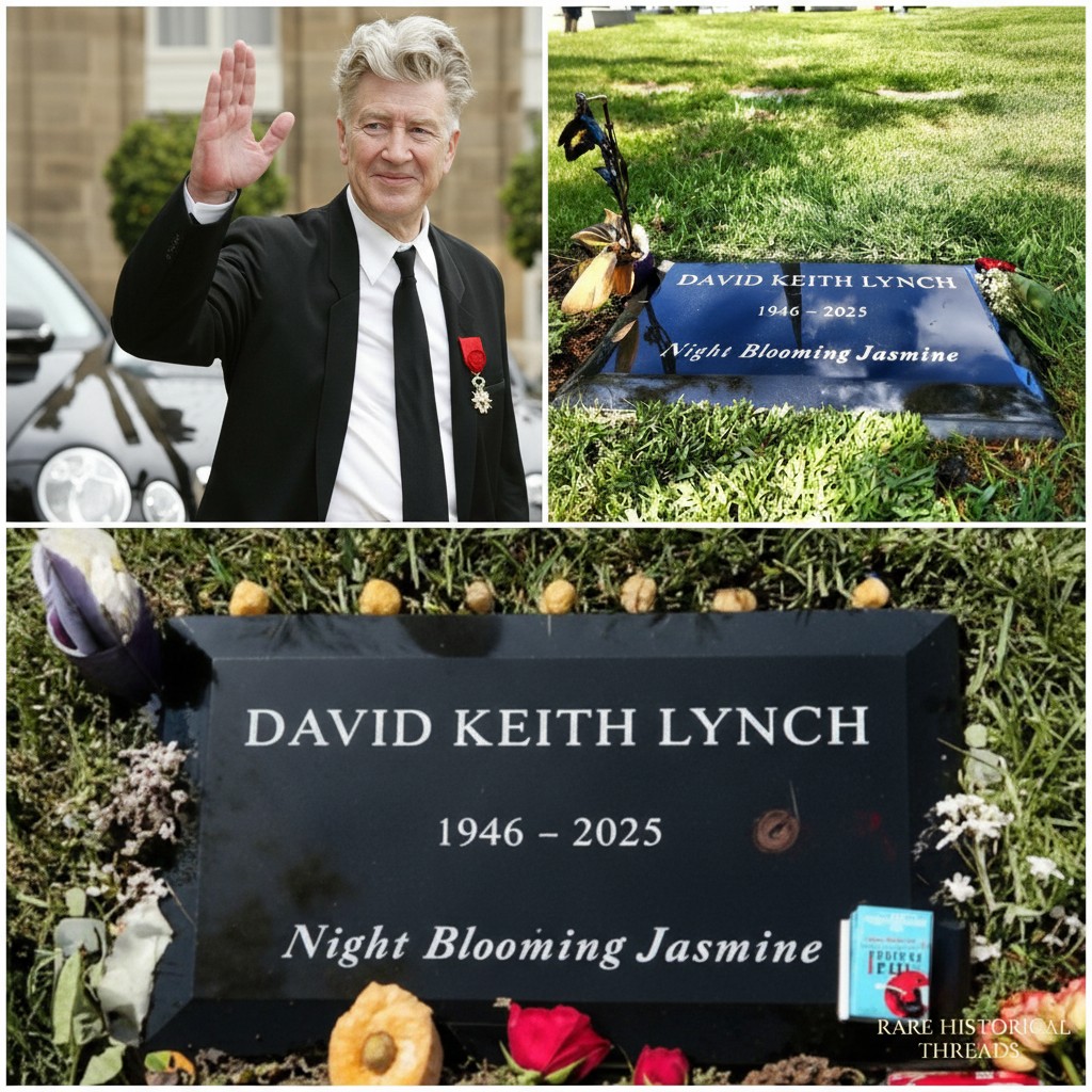 Historical Photos | Remembering David Lynch (January 20, 1946 – January ...