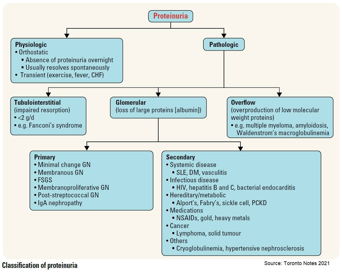 Classification of Proteinuria... - Manual of Medicine
