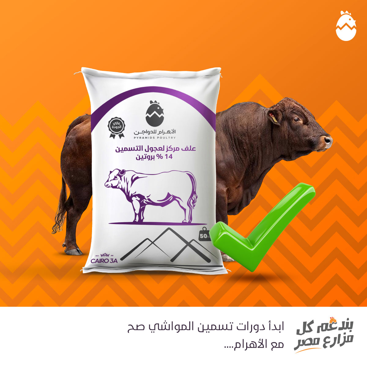 ‎الاهرام للدواجن -... - الاهرام للدواجن - Pyramids Poultry