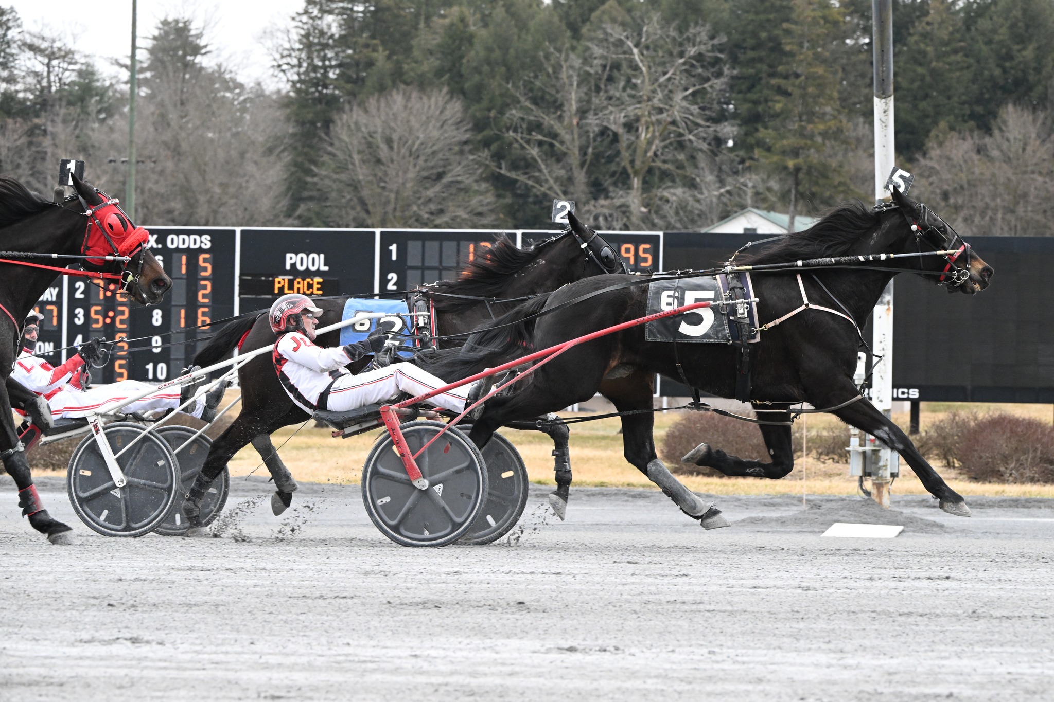 DISCUS HANOVER... - Harness Racing Museum & Hall of Fame