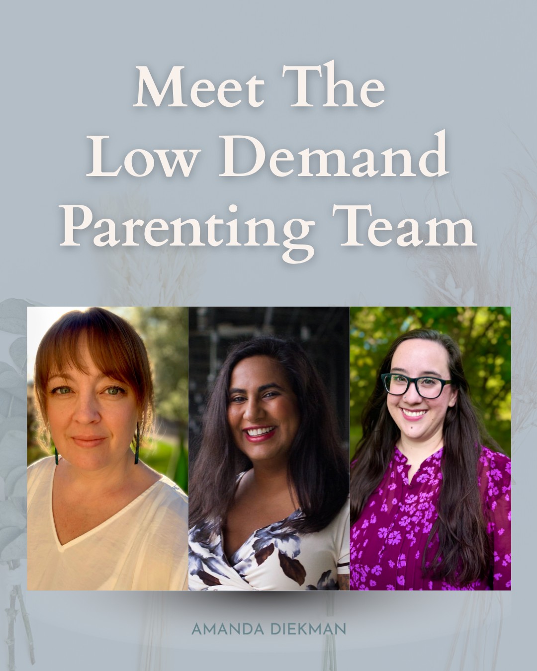 🌿Meet The Low... - Amanda Diekman - Low Demand Parenting | Facebook