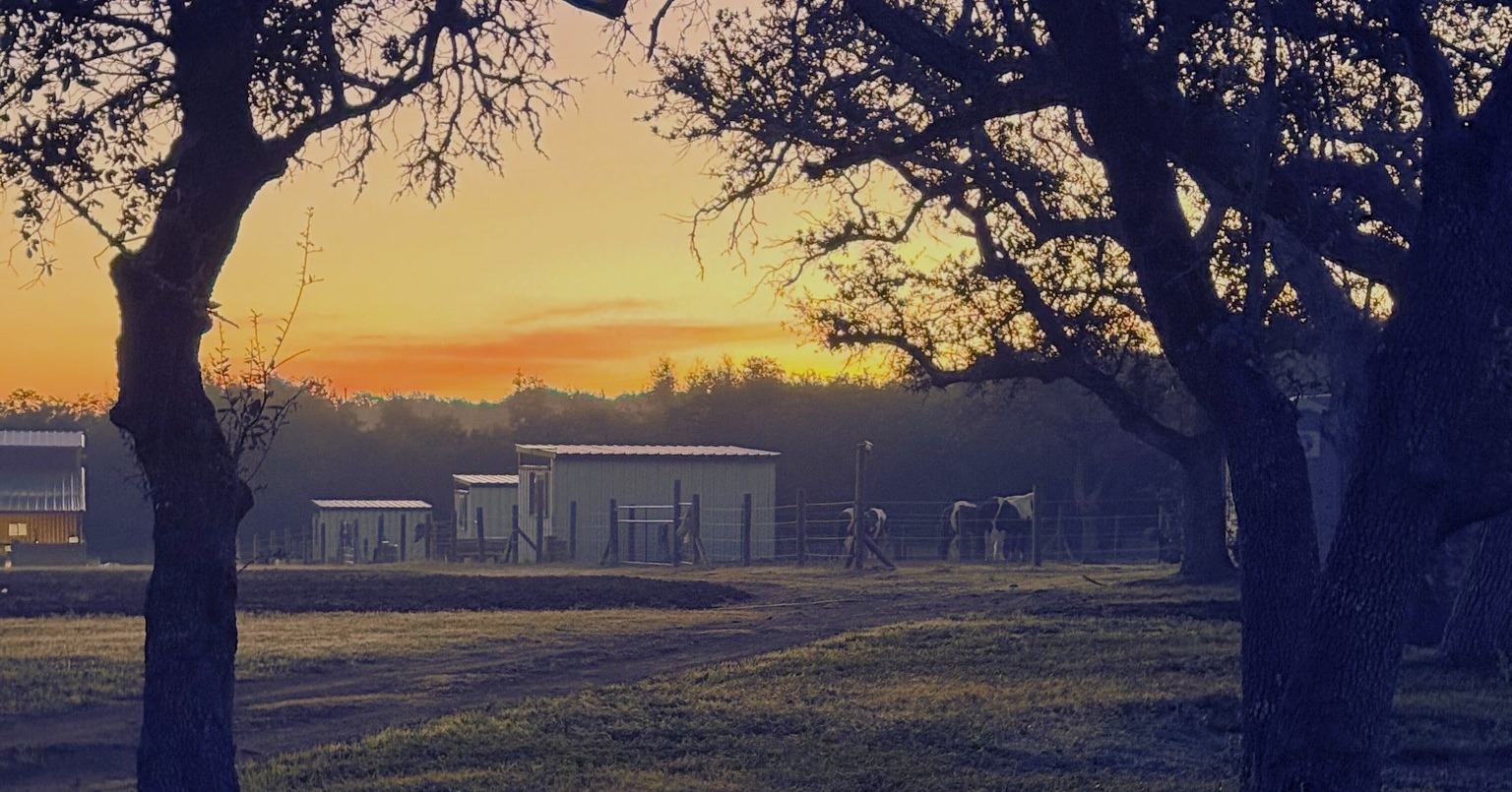 Twisted Bit Ranch | Wimberley TX
