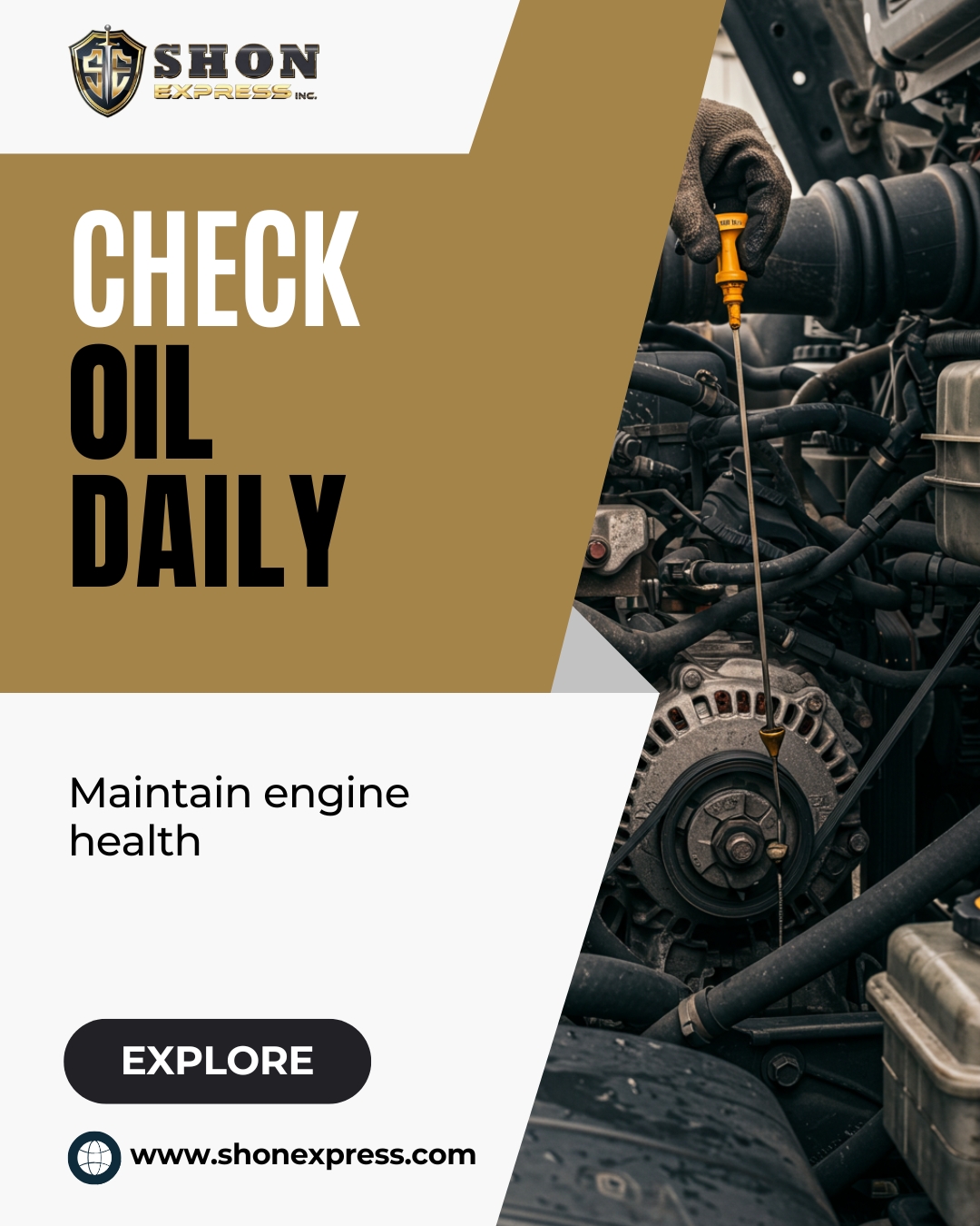 Shon Express Inc | Naperville IL