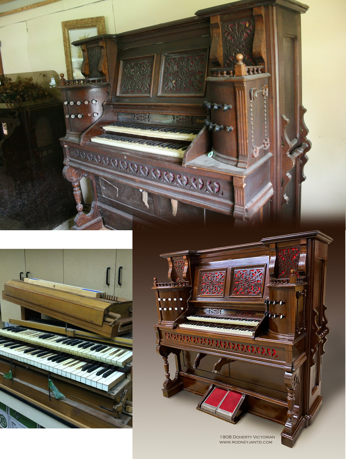 Rodney - Before, during and after picture of a Doherty 