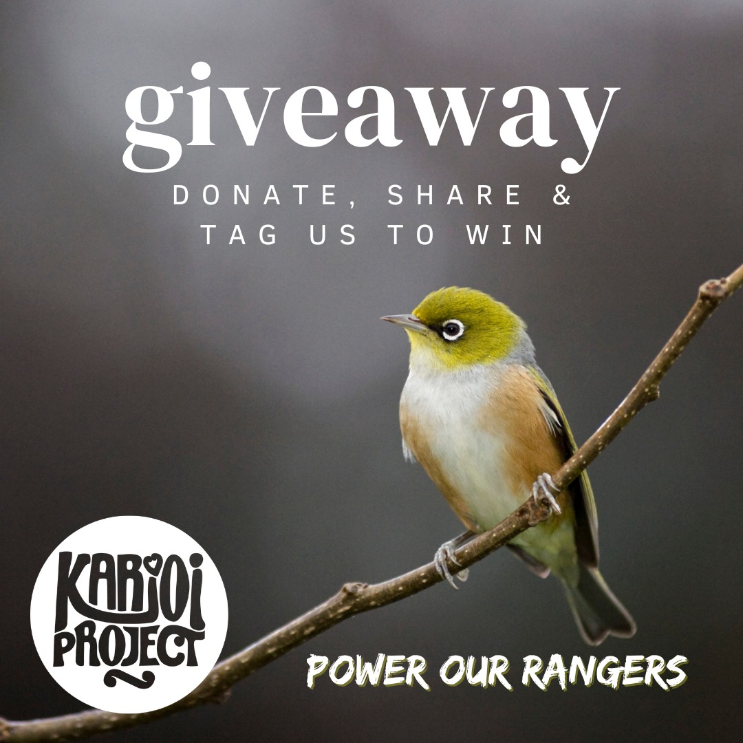 Karioi - Bonus incentive! 💥 GO INTO THE DRAW !! Every donation over $25 ...