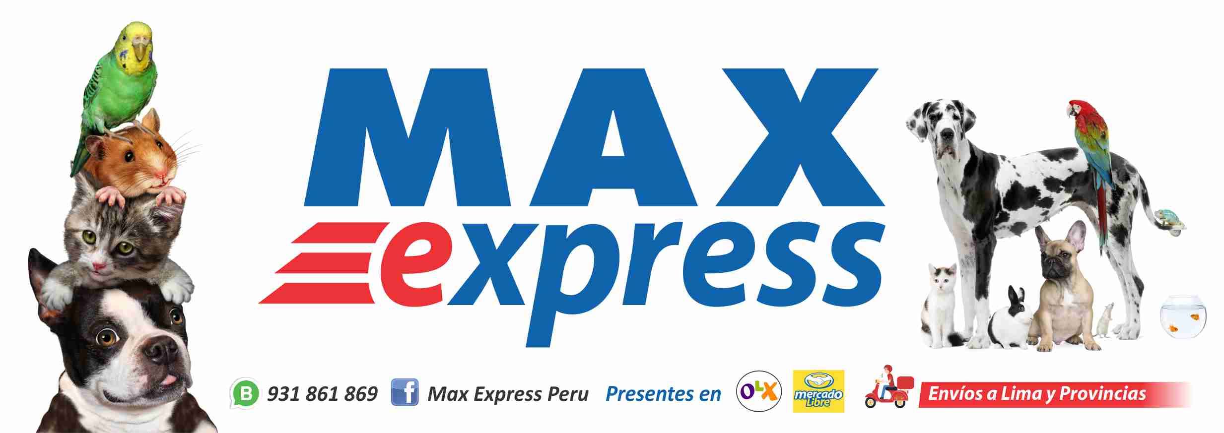 Max Express Peru | Callao