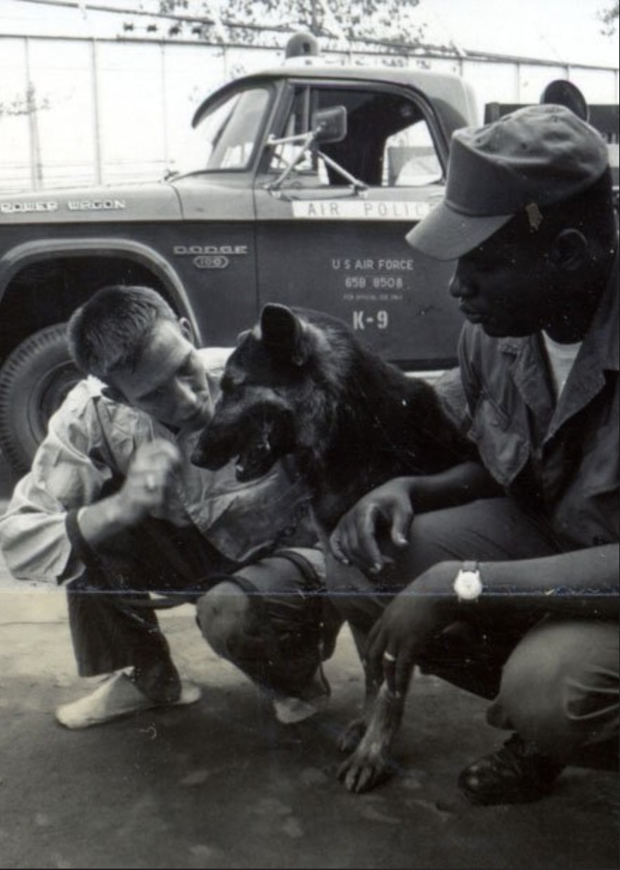 American - This National Service Dog Month, we remember Nemo - a German ...