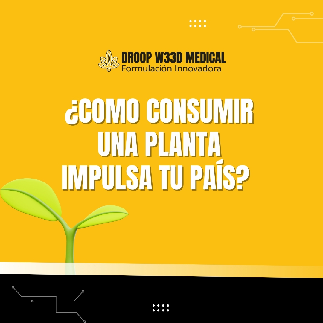 W33D.org | Monterrey