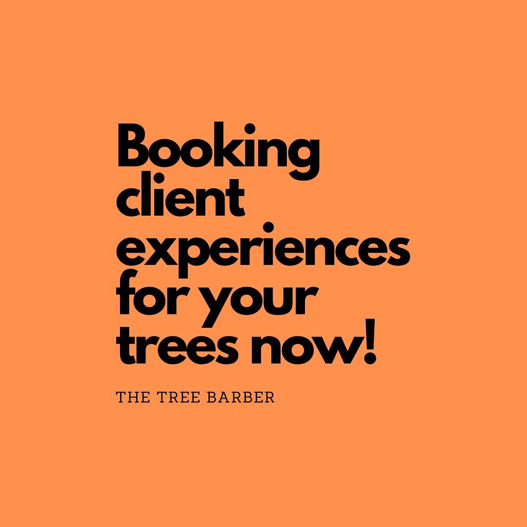 The Tree Barber
