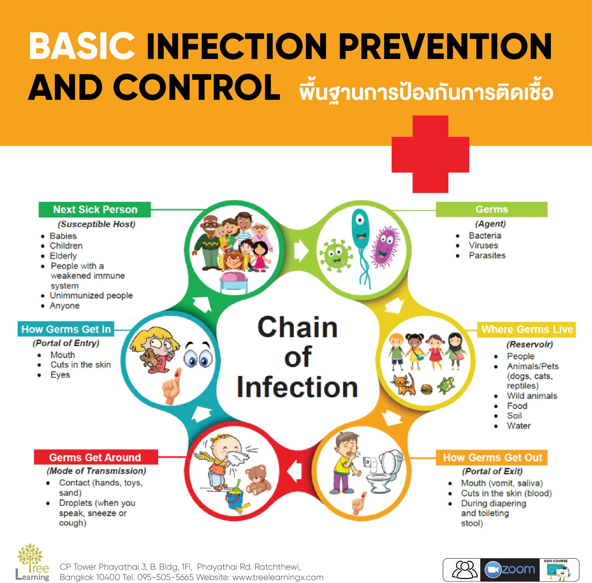 Tree Learning - Basic Infection Control ยกระดับ Portfolio...