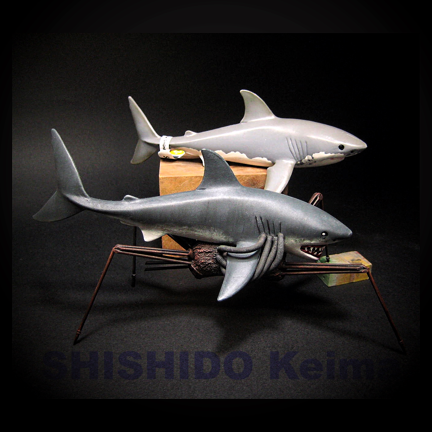 Walking shark