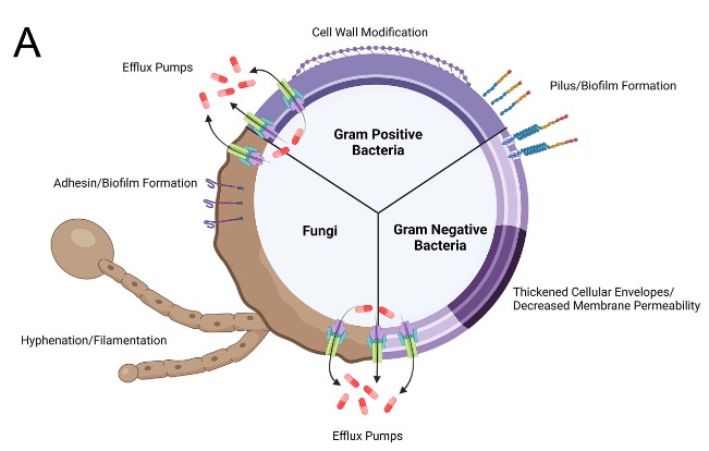 E-mikrobiologia