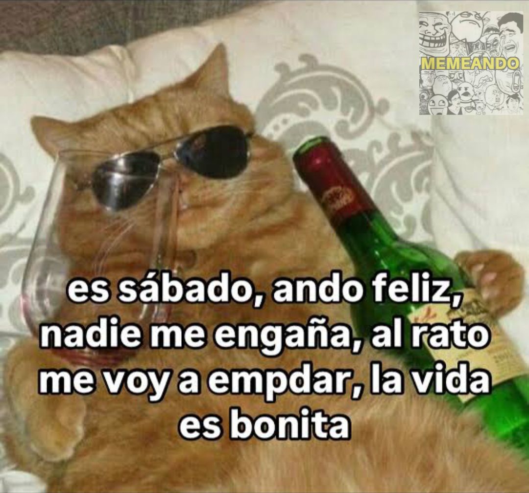 Memeando - En eso andamos madresanta | Facebook