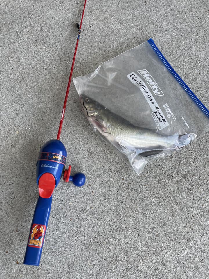 okuma ceymar 10 for sale C-20 7BB SPIN REEL with a corrosion Dock-it Fisher: Keep Your 2024TradeShowProduct Color:Sun Perch