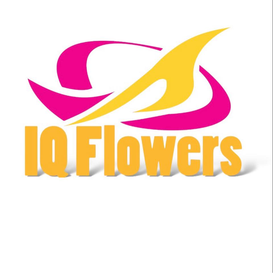 IQ Flowers | Honselerdijk