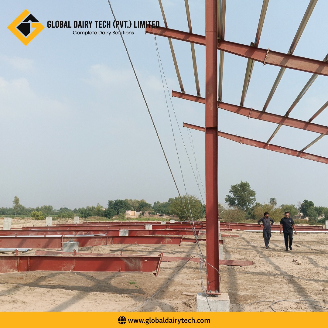 Shed erection completed at Ghugh Dairy... - Global Dairy Tech | Facebook