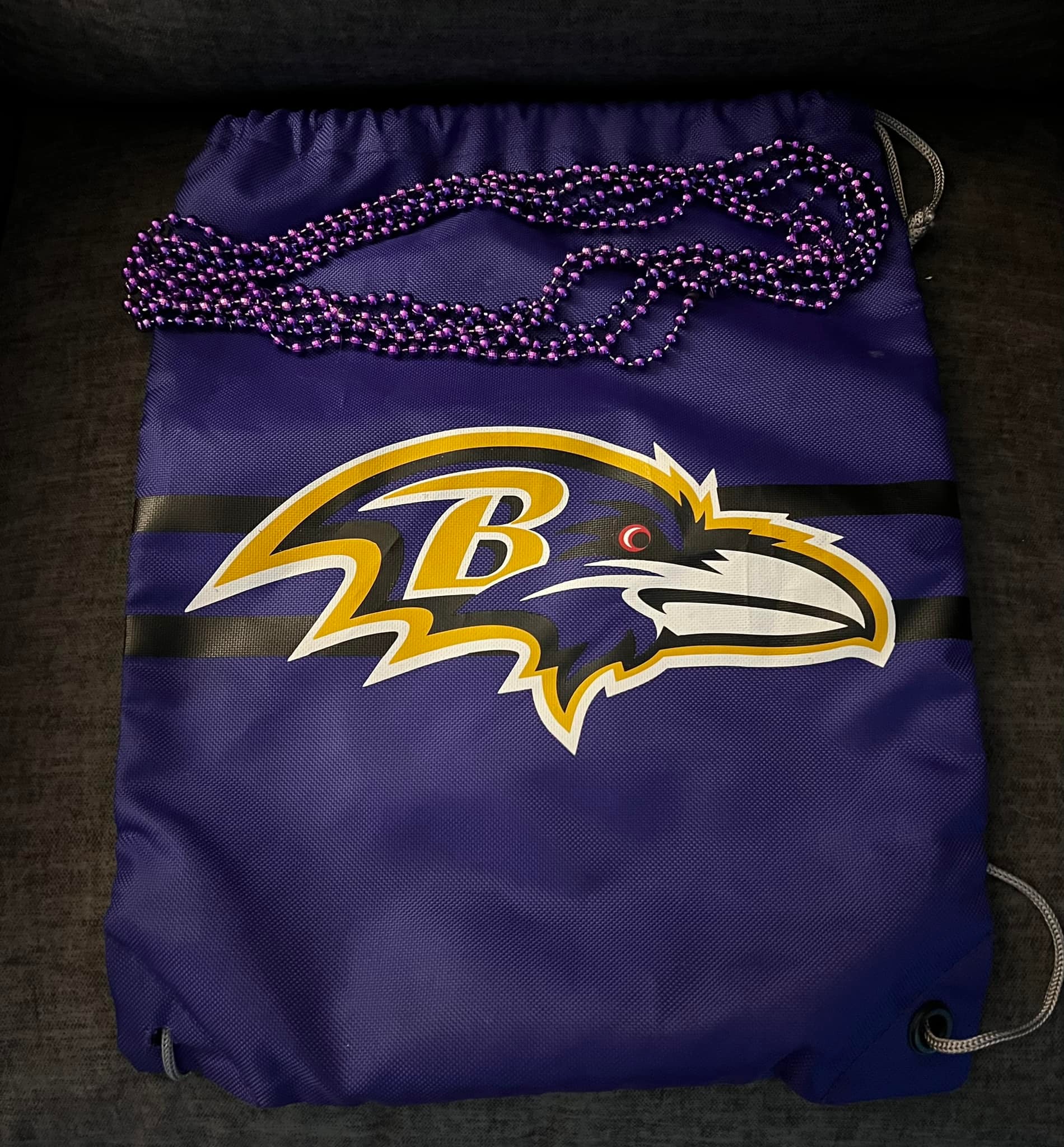 The Ravens ガジェットケース ワッペン 缶バッジ レイブンズ 会場限定