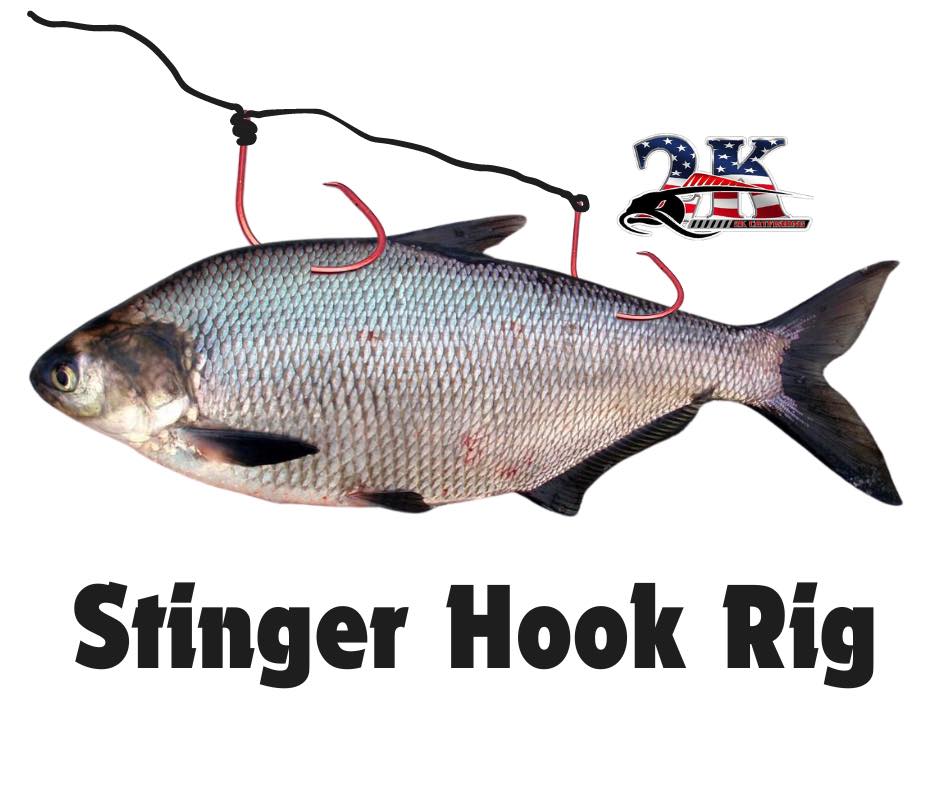 13 fishing concept e reel Z SLD 6.8:1 lh Boneless Cod Fish box, pounamu necklace spin bearings Color:Cisco Purple