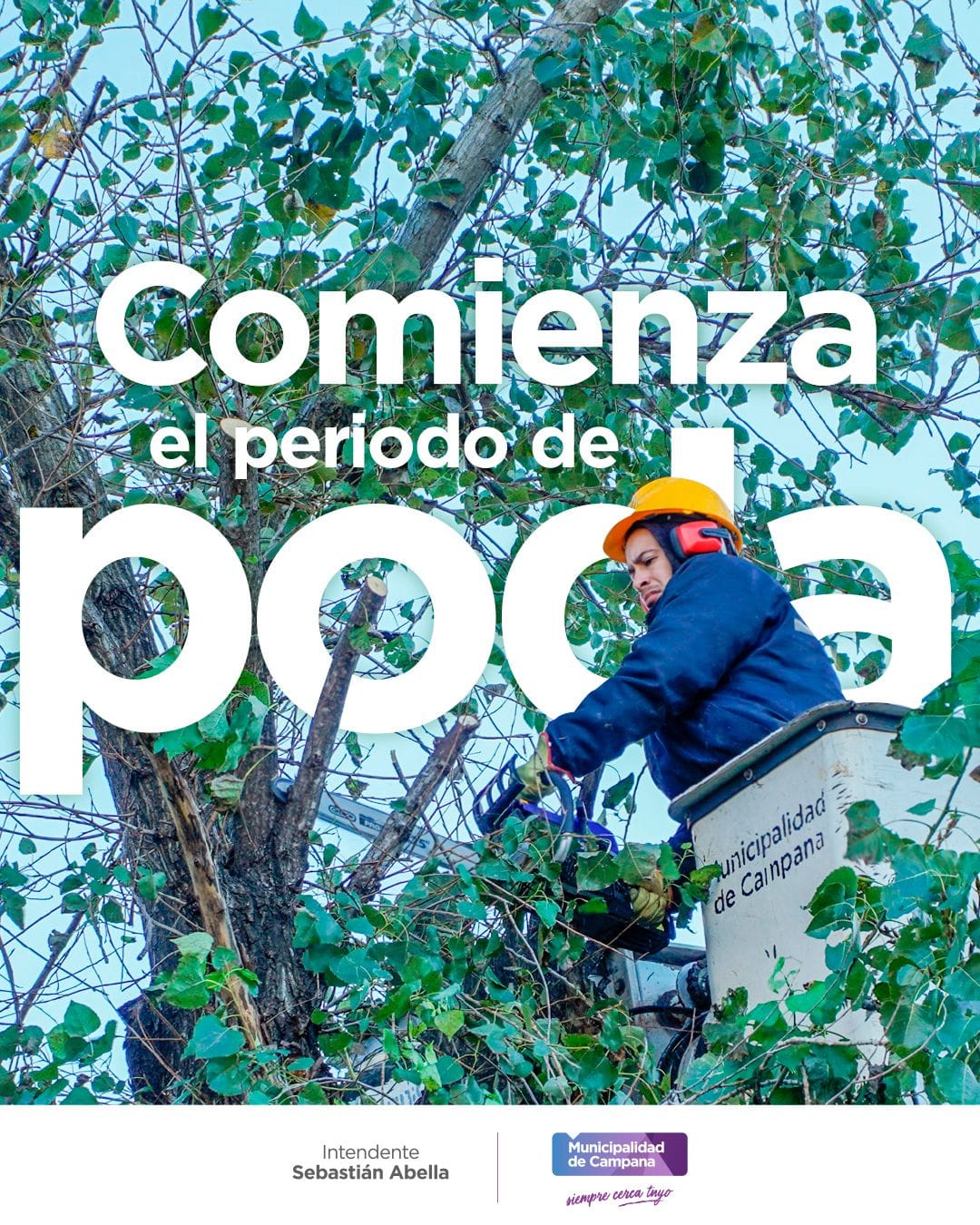 CEMAVCampana - La Municipalidad de Campana comenzó a... | Facebook