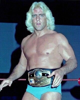 The NWA World's Heavyweight Champion, 