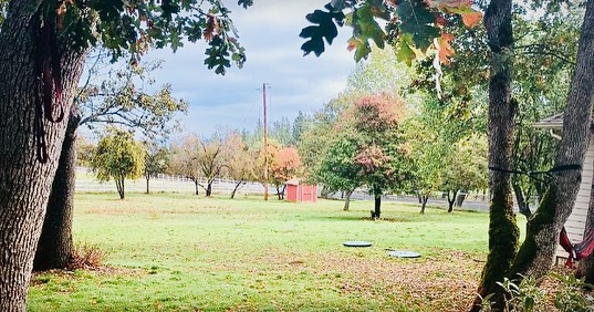 Pink Pony Ranch | Ojai CA