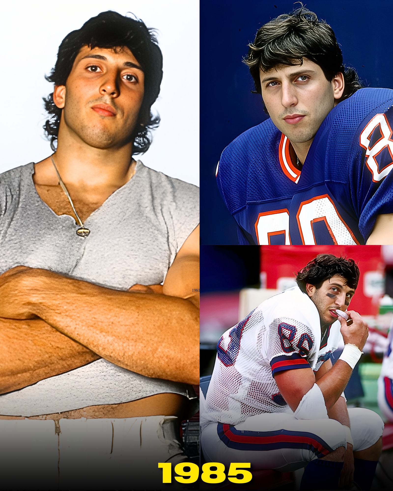 Sofia - Coming out of college, Mark Bavaro was viewed as a grinder. A ...