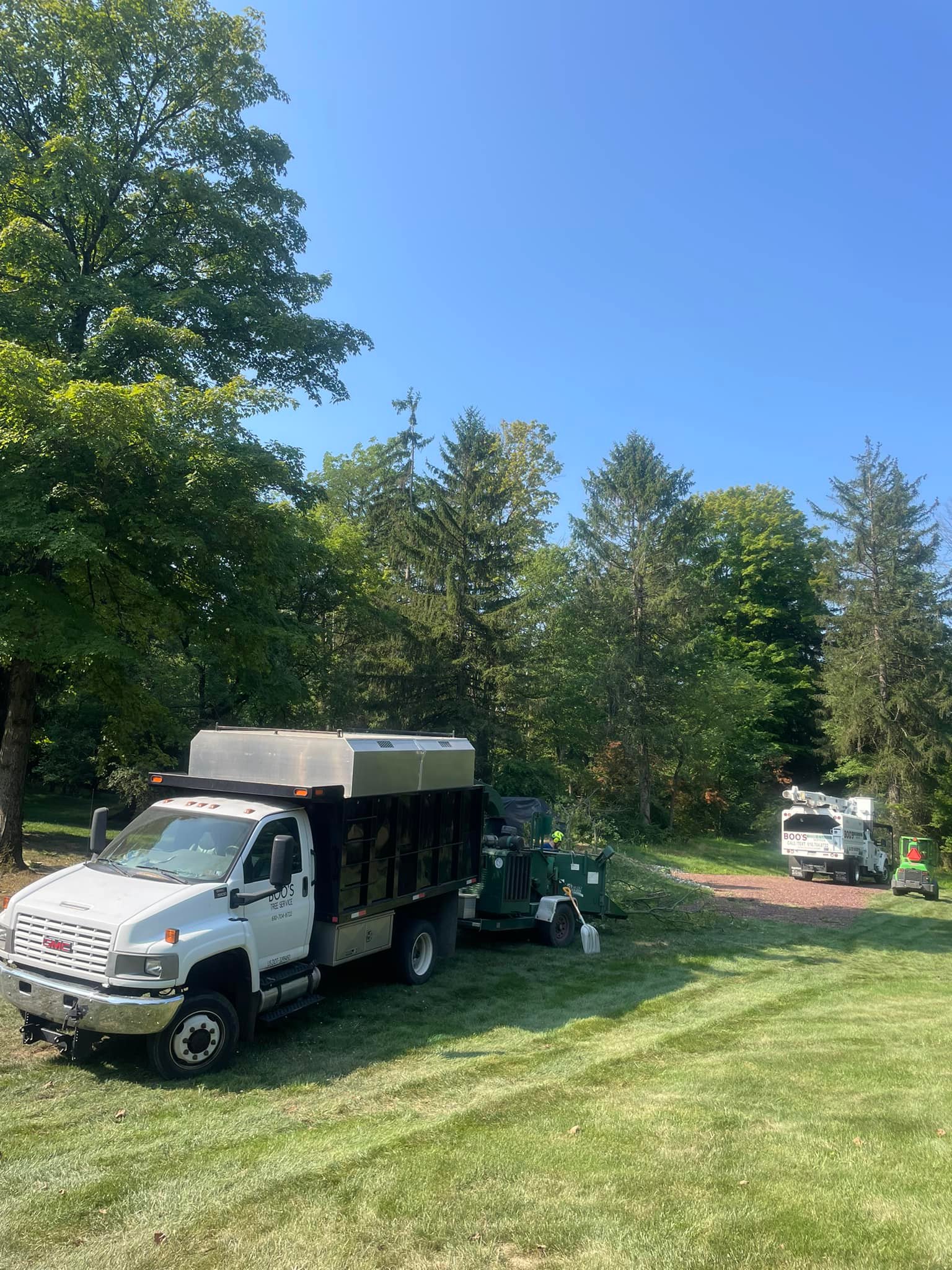 Boo's Tree & Lawn Service