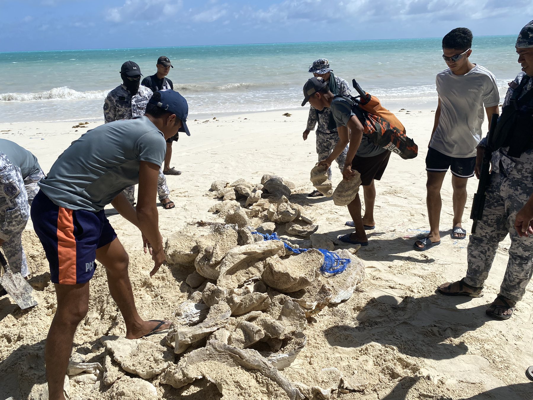 Philippine - P8.1 MILLION WORTH OF CLAM SHELLS? 🤯 The Philippine Coast ...