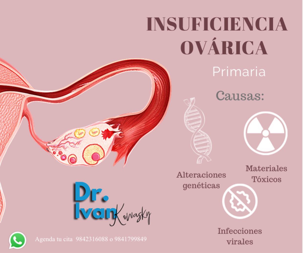 Tratamiento Insuficiencia Ovárica Prematura