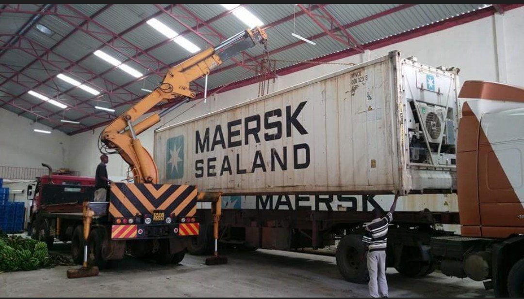 Crane - Cut the construction costs , a 40ft reefer container gives you ...
