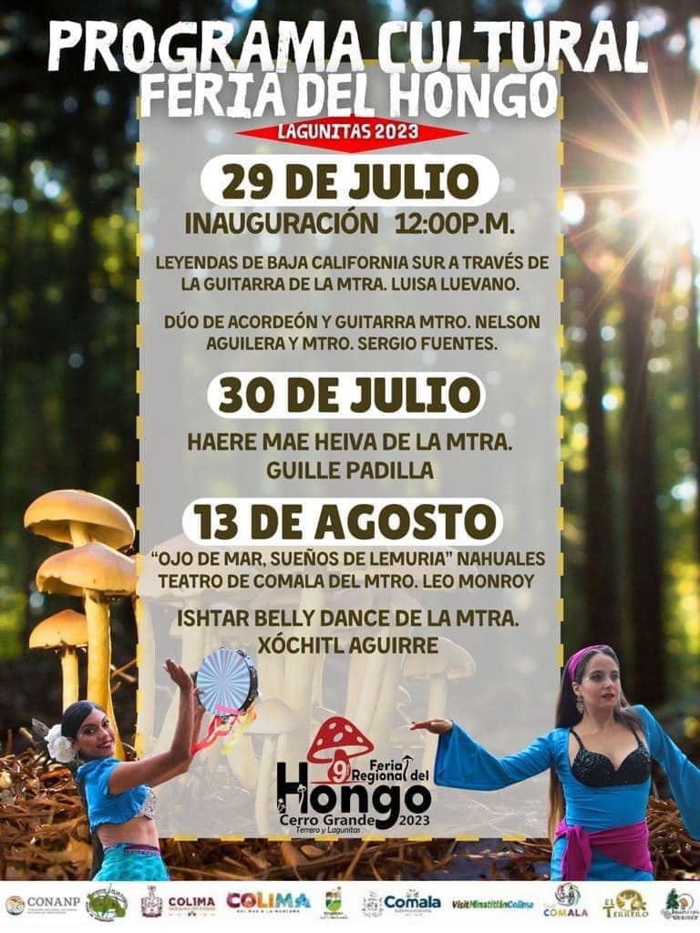 El Terrero Colima | El Terrero