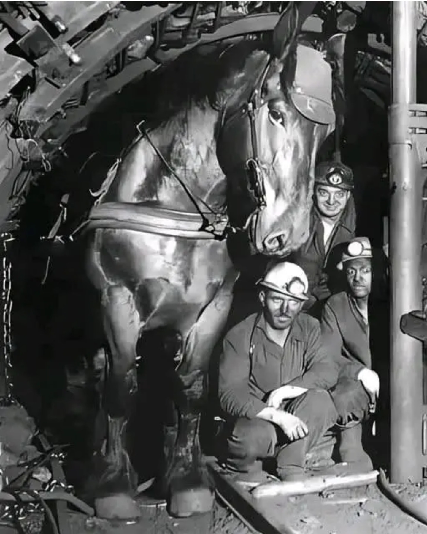 Ancient - **The Touching Story of Ruby: The Sacrifice of the Coal Mine ...