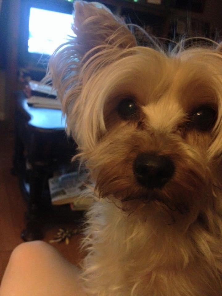 Tammy Ramey (@tammy.ramey.73) • Facebook, Connect with friends