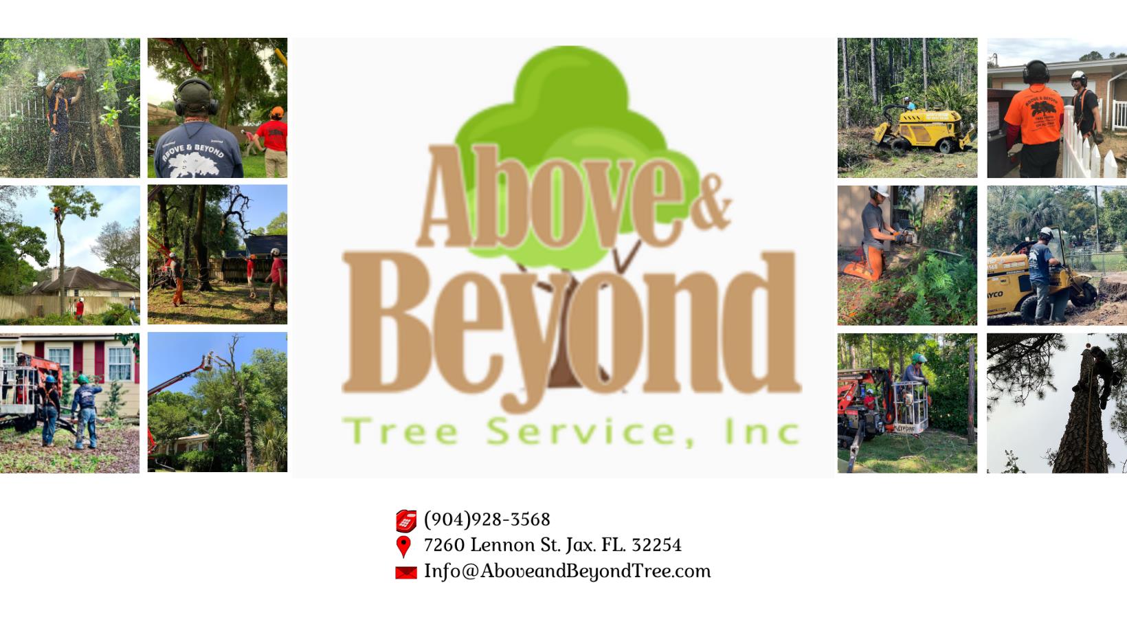 Above and Beyond Tree Services
