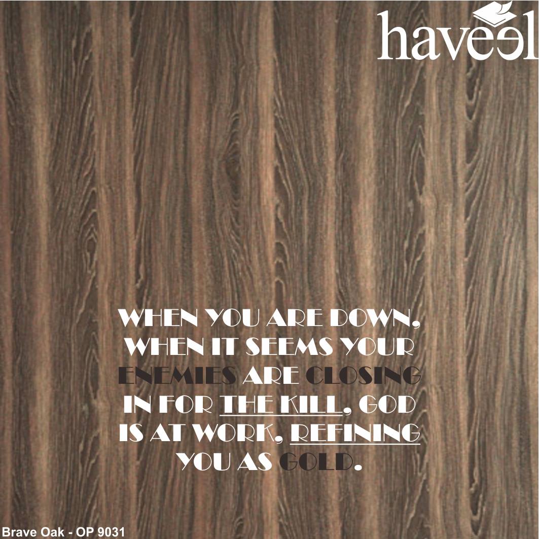 #haveel #hpl #haveelhpl #hfactorid... - Haveel HPL Indonesia | Facebook