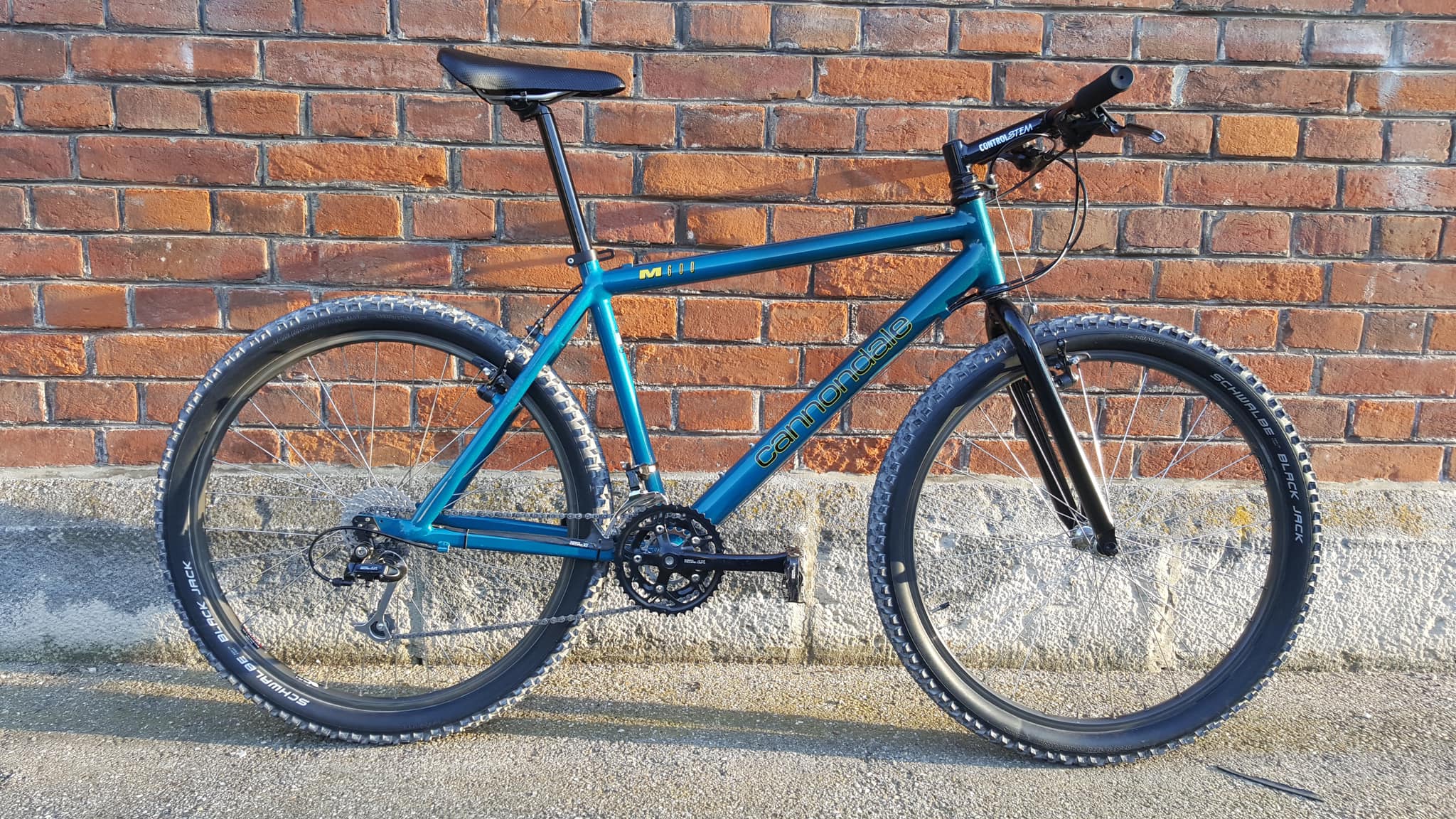 Custom painted Cannondale M600 mountain bike