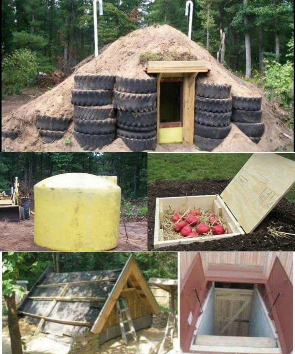 GreenThumb - 🥔🌿 How to Build a Natural Root Cellar for Storing ...