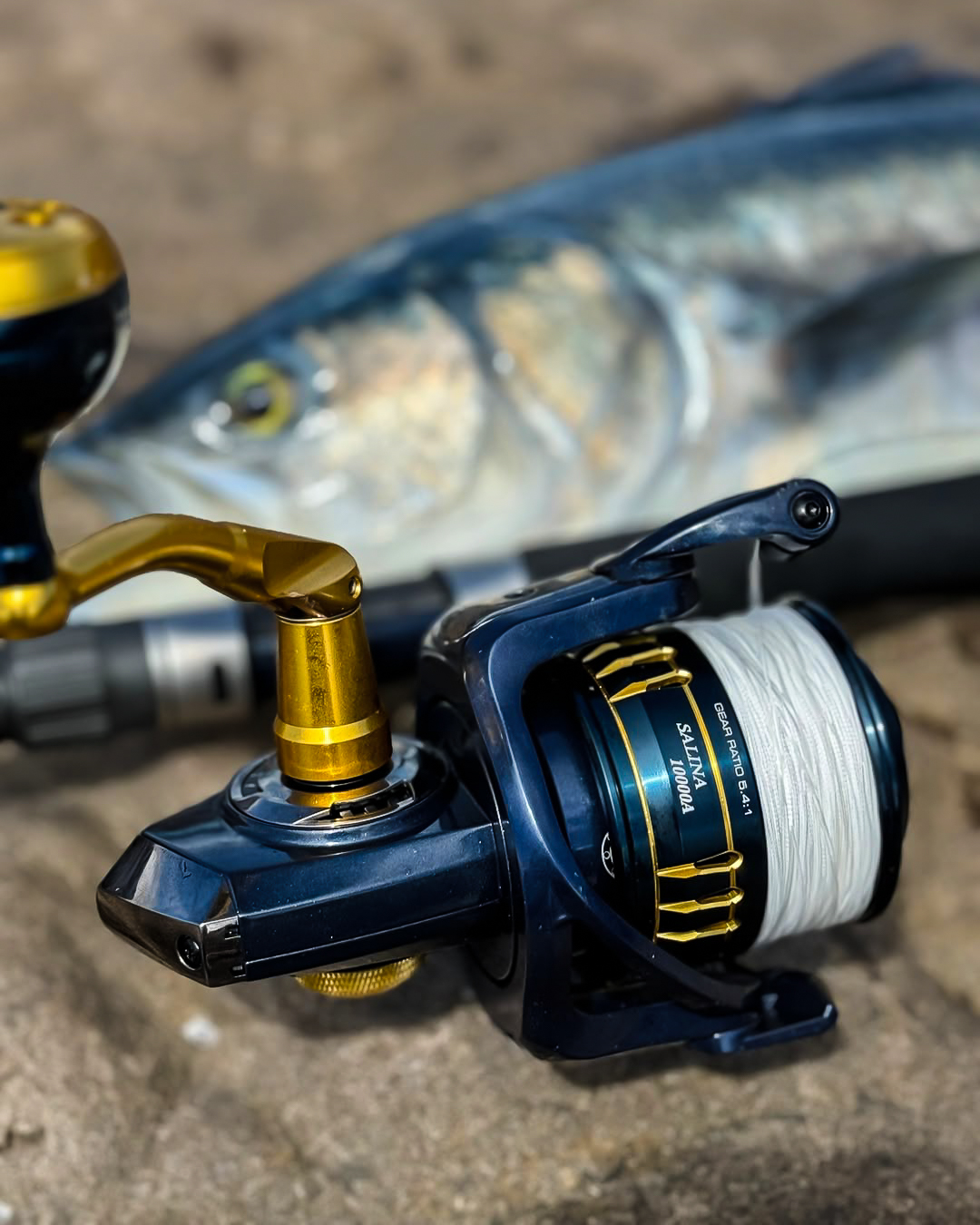 agv helmet k1 price S Punkpulse Nike Unisex All Access Product Type_Rod & Reel Combos Color:Power Surge The AGV K1 S