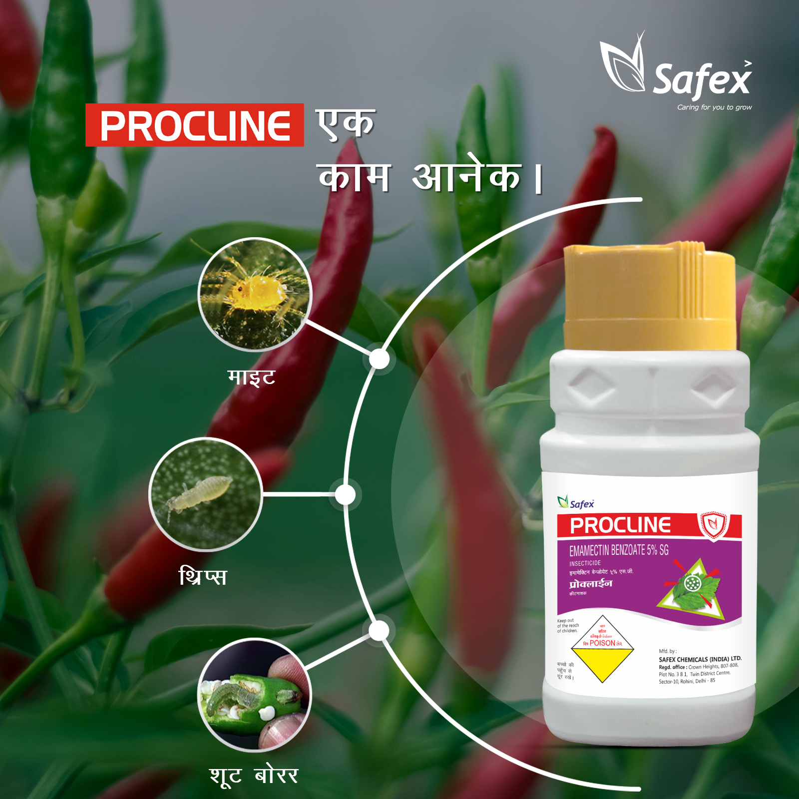 Safex - Procline is a modern insecticide of Avermectin. It gives ...