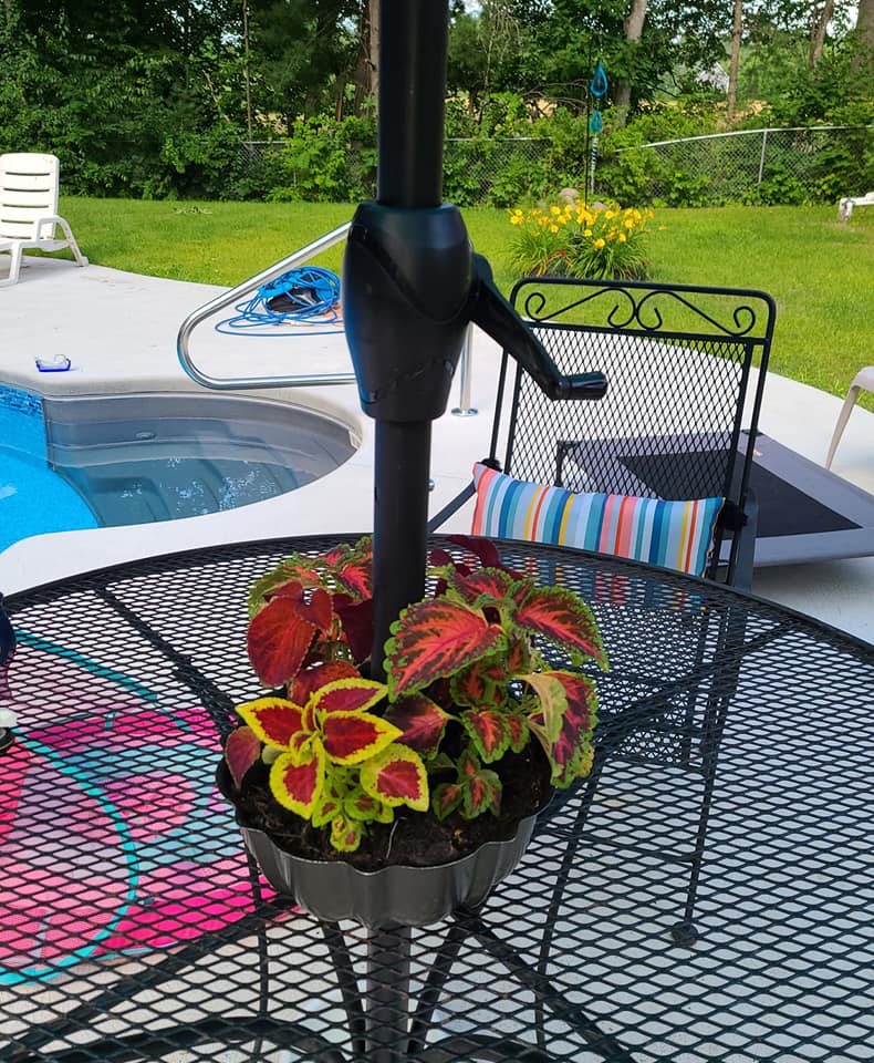 fade resistant patio umbrella with lights Homrest 10FT Solar Lighted Umbrella, Fade-Resistant Outdoor Umbr – homrest backpack-new and backyard gatherings Option:Dachshund CorLiving 9ft Tilting Cantilever