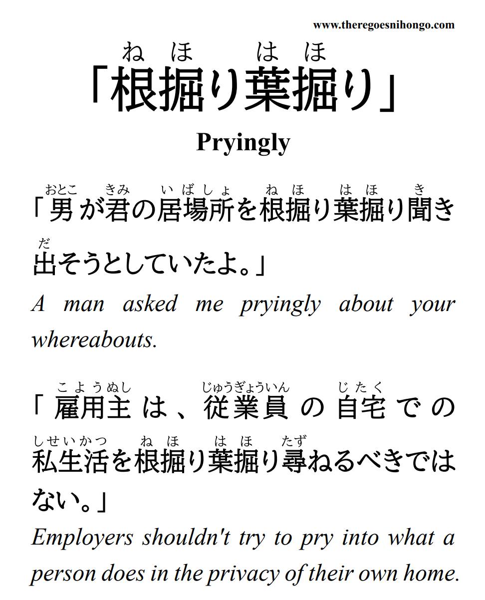 根 掘り 葉 掘り