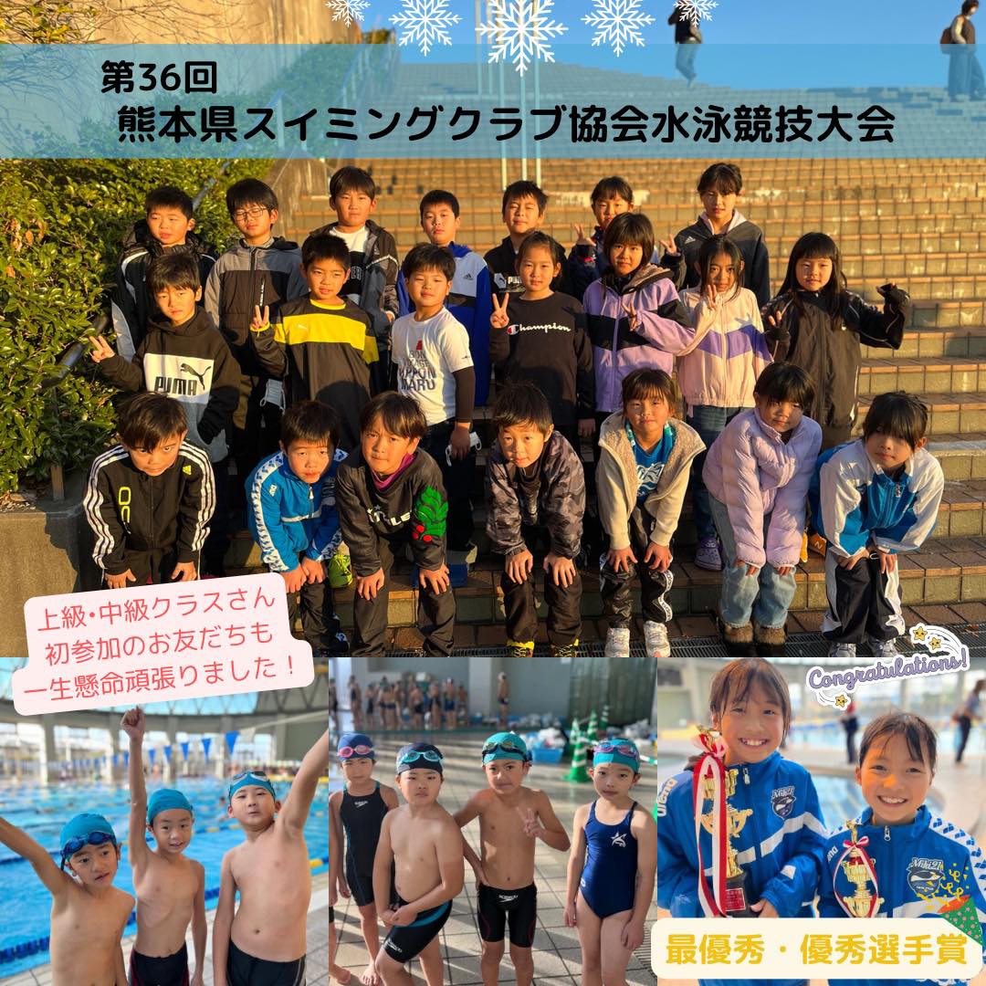 熊本 県 水泳 協会
